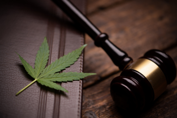 new jersey cannabis