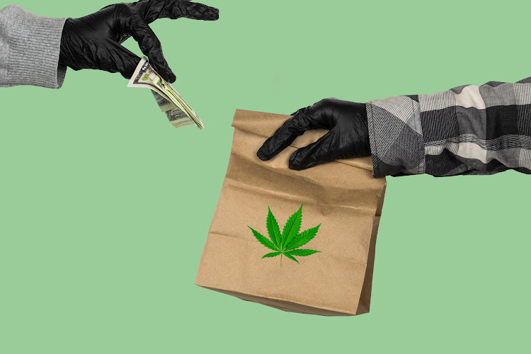 Can you work at a dispensary with a criminal record 1