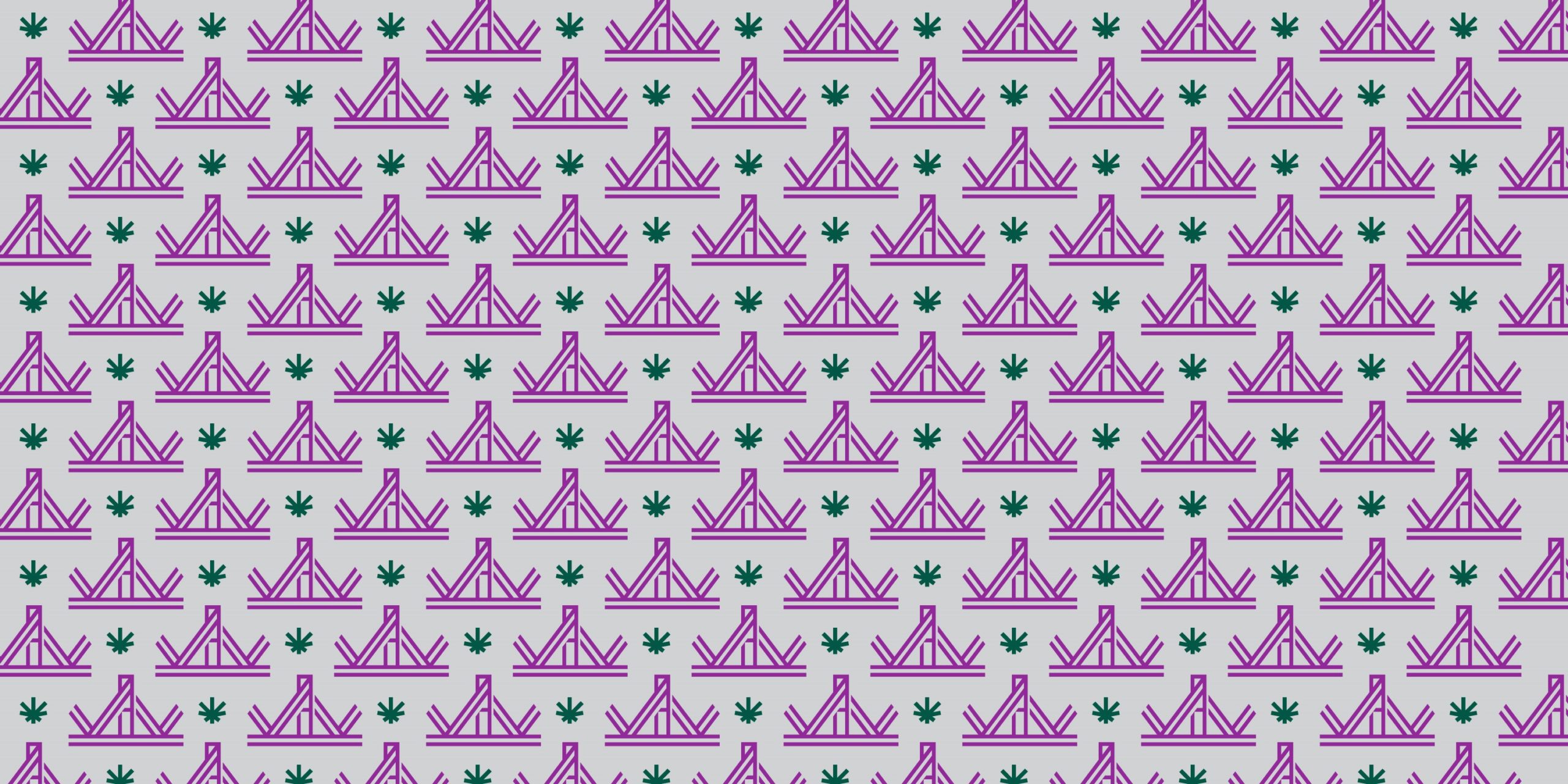 Cannabis Entrepreneur Spotlight